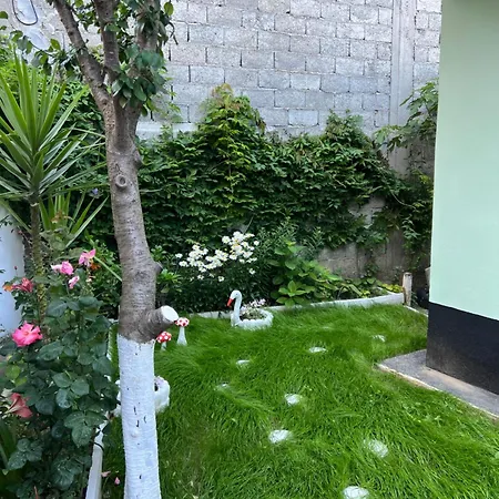 Hotel Dibra Near Center Of