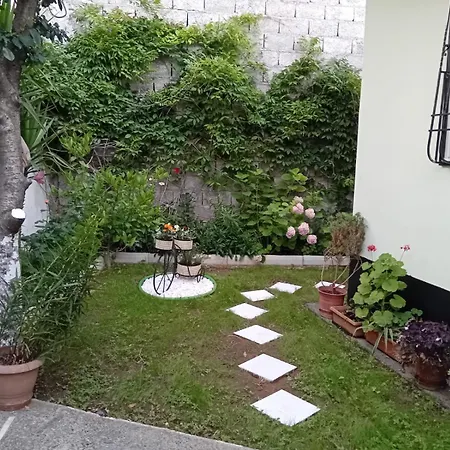 Dibra Near Center Of Hotel 5*