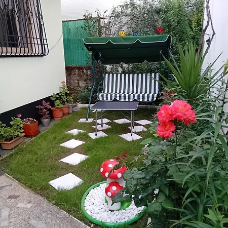 Dibra Near Center Of 5* Szkodra